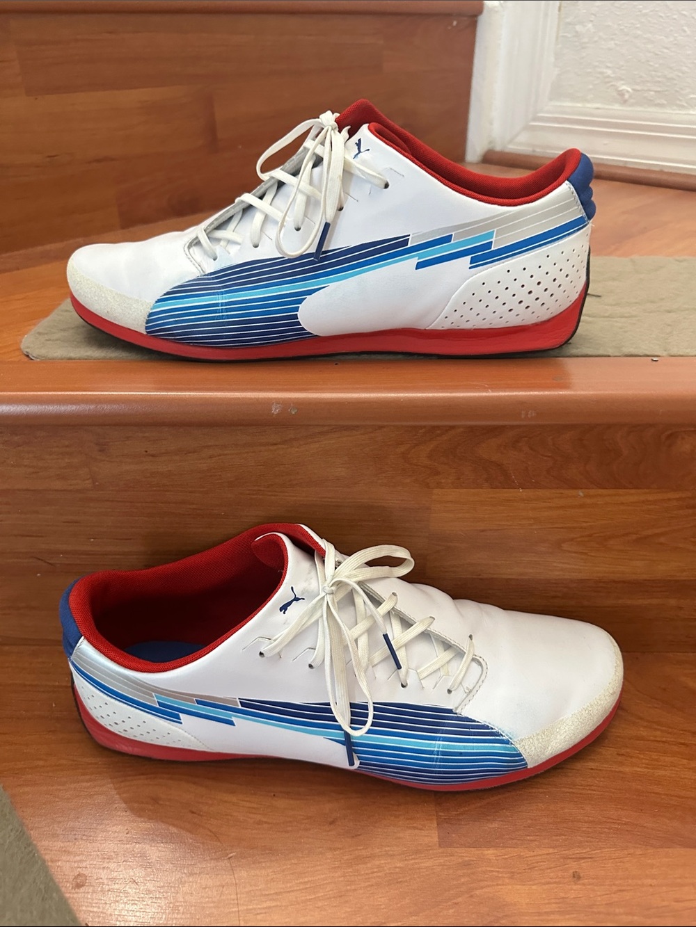 Puma Evo speed “Faas Trac”  size 13